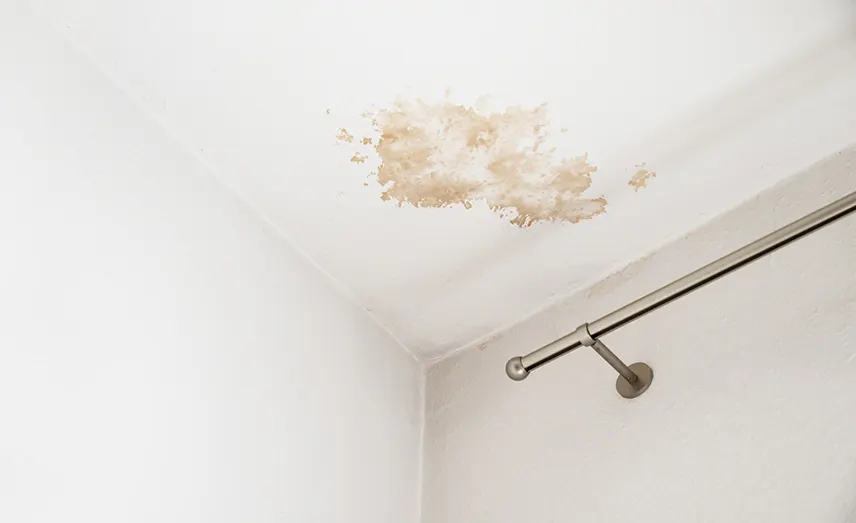 water_damage_repair
